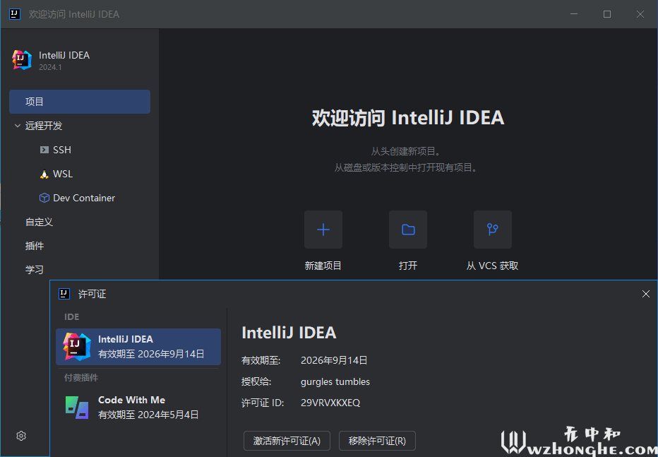 IntelliJ IDEA 2024 - 无中和wzhonghe.com -2