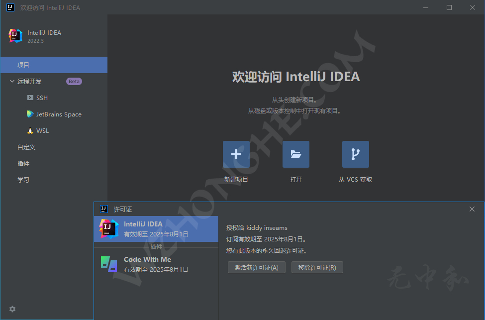 JetBrains IntelliJ IDEA 2022 - 无中和wzhonghe.com
