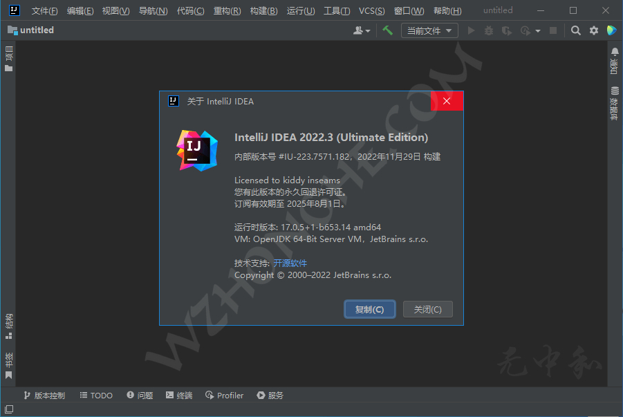 JetBrains IntelliJ IDEA 2022 - 无中和wzhonghe.com