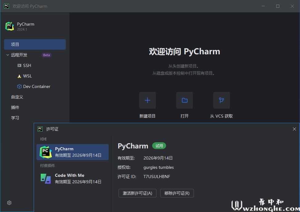 PyCharm2024 - 无中和wzhonghe.com -2