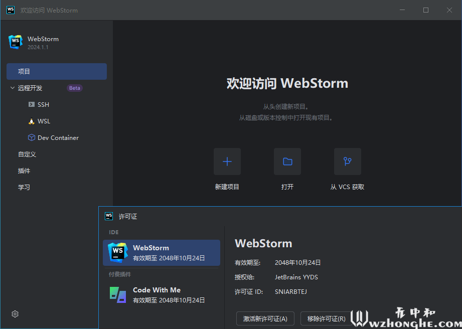 WebStorm2024 - 无中和wzhonghe.com -2